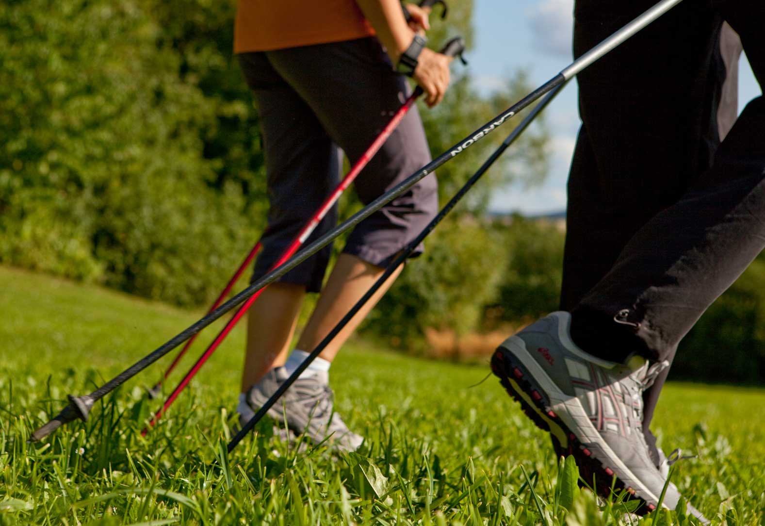 conoces el nordic walking