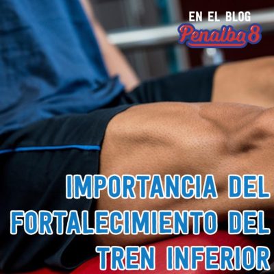 Tren inferior: fortalecimiento