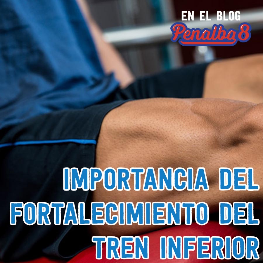 Tren inferior: fortalecimiento