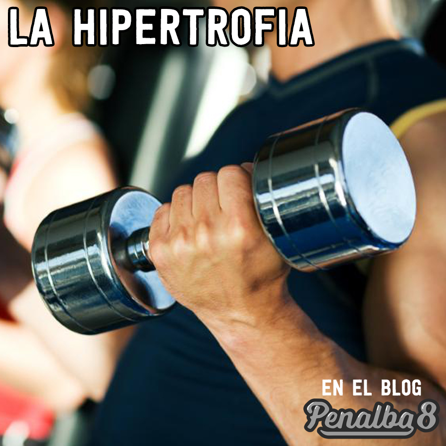 La hipertrofia muscular