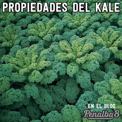 propiedades del Kale