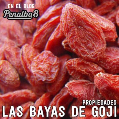 Las bayas de goji propiedades